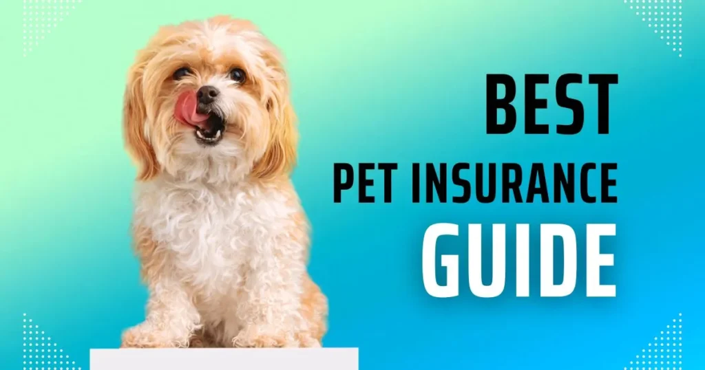 Understanding Pet Insurance Quotes: A Comprehensive Guide